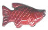 Gemstone Fish Bead