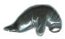 Gemstone Manatee Bead