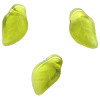 5x10mm Cream de Mint Givre Pressed Glass LEAF Beads