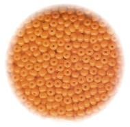 10/o Czech SEED BEADS - Orange