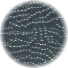 11/o Czech SEED BEADS - Opaque Black