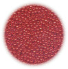 11/o Japanese SEED BEADS - Chinese Red