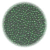 11/o Japanese SEED BEADS - Trans. Dark Leaf Green