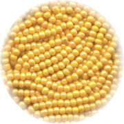 11/o French SEED BEADS - Light Orange Pearl