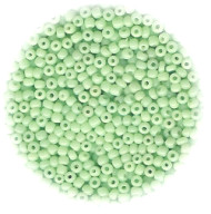 11/o Japanese SEED BEADS - Pale Mint Green