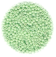 11/o Japanese SEED BEADS - Pale Mint Green