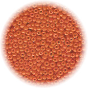 11/o Japanese SEED BEADS - Pumpkin Orange