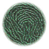 11/o Czech SEED BEADS - Trans. Emerald Green S/L
