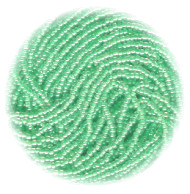 11/o Czech SEED BEADS - Trans. Lt. Green Lined