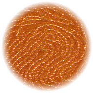11/o Czech SEED BEADS - Transparent Orange