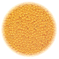 12/o Czech SEED BEADS - Light Orange