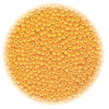 12/o Czech SEED BEADS - Light Orange