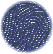 12/o Czech SEED BEADS - Trans. Cobalt Blue