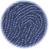 12/o Czech SEED BEADS - Trans. Cobalt Blue