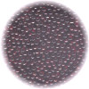 12/o Czech SEED BEADS - Trans. Dark Red