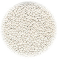 12/o Czech SEED BEADS - Opaque White