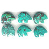 10x12mm Stabilized Chinese Turquoise ZUNI BEAR Animal Fetish Beads