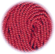 13/o Czech SEED BEADS - Light Red