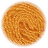 13/o Czech SEED BEADS - Medium Orange