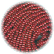 13/o Czech SEED BEADS - Medium Red