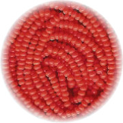 13/o Czech SEED BEADS - Opaque Red Orange