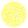 14/o Japanese SEED Beads - Butter Yellow Painted