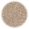 14/o Japanese SEED Beads - Metallic Lined Trans. Tan