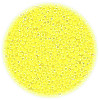 14/o Japanese SEED Beads - Corn Yellow