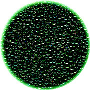 14/o Japanese SEED Beads - Metallic Dk. Green/Indigo Irid.
