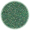 14/o Japanese SEED Beads - Trans. Emerald Lined Irid.