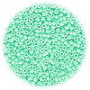 14/o Japanese SEED Beads - Lt. Aqua Painted