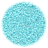 14/o Japanese SEED Beads - Lt. Powder Blue