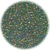 14/o Japanese SEED Beads - Trans. Lt Green Lined w/ Dk. Red-Brown