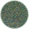 14/o Japanese SEED Beads - Trans. Lt Green Lined w/ Dk. Red-Brown