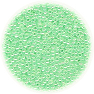 14/o Japanese SEED Beads - Mint Green Luster