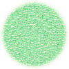 14/o Japanese SEED Beads - Mint Green Luster