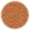 14/o Japanese SEED Beads - Pumpkin Orange Painted