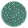 14/o Japanese SEED Beads - Transparent Teal