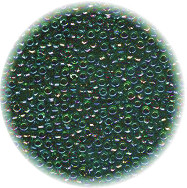 14/o Japanese SEED Beads - Trans. Dk. Green Lined Black Irid.