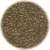 14/o Japanese SEED Beads - Trans. Rootbeer Gold Luster