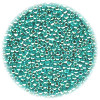 14/o Japanese SEED Beads - Metallic Turquoise