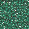 15/o HEX BEADS: Dark Emerald Green