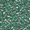 15/o HEX BEADS: Rich Med. Green Luster