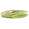 19mm Green Givre & Gold Wash Pressed Glass *Corn Husk* OVAL Beads