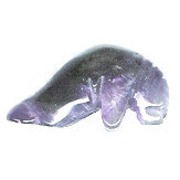 12x16mm 3-D Amethyst MANATEE/WALRUS Animal Fetish Bead