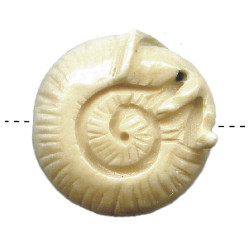 5x20mm Carved Bone SNAIL Animal Fetish Bead