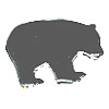 1/8" Metal Black Bear BRADS - Black