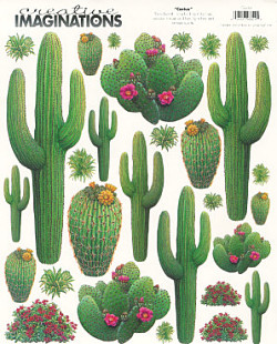 Creative Imaginations® *Cactus* STICKERS