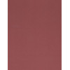8½ x 11 Solid *Brick Red* Smooth CARD STOCK Paper