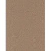 8½ x 11 Solid *Chamoisee Kraft* Rough Finish CARD STOCK Paper